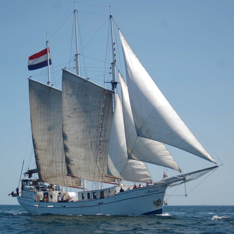 S/y Minerva